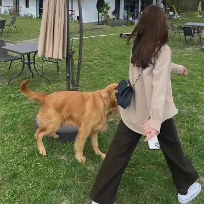 温暖的甜蜜