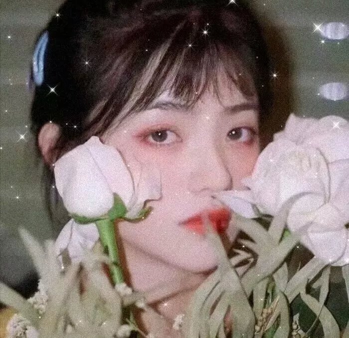 风流公子